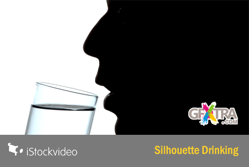 iStockVideo - Silhouette Drinking HD720