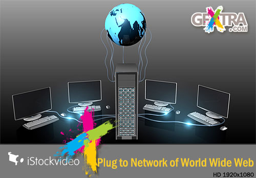 iStockVideo - Plug to Network of World Wide Web (www) HD1080