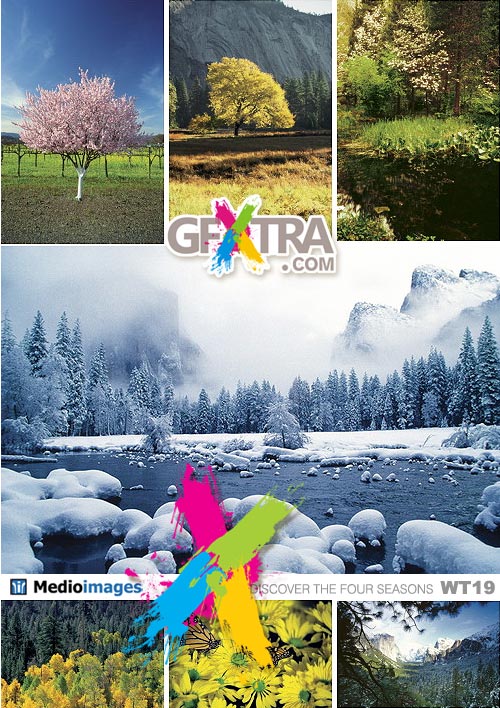 Medio Images WT19 Discover The Four Seasons