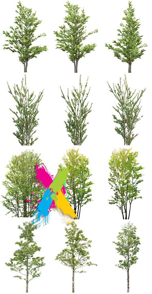 Tenkei Kobo CS15 Trees 4, 180 Transparent PNGs