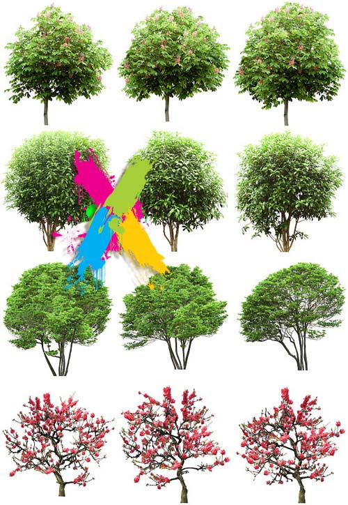 Tenkei Kobo CS15 Trees 4, 180 Transparent PNGs