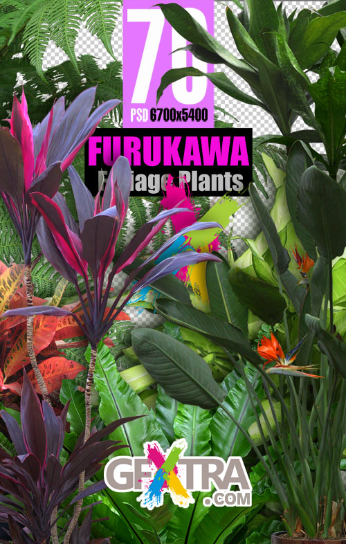 Furukawa 02 Foliage Plants 70xPSD