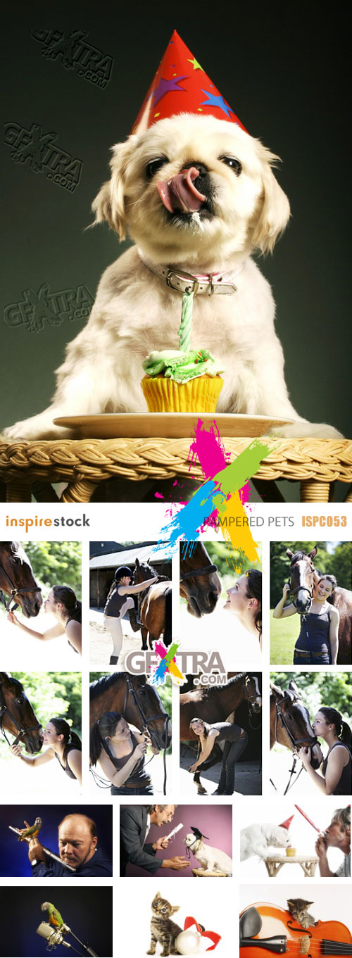 InspireStock ISPC053 Pampered Pets