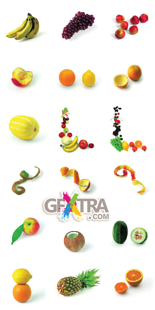 Six Lenz Vol.08 Fruit & Vegetables 1