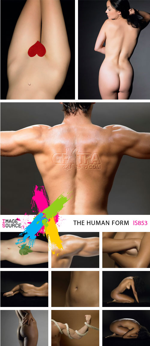 Image Source IS853 The Human Form