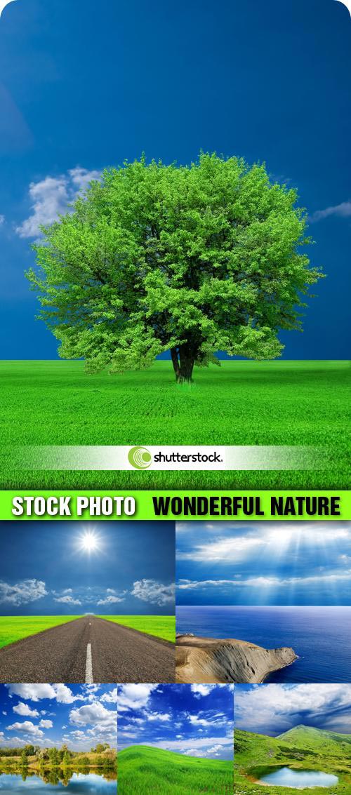 Amazing SS - Wonderful Nature
