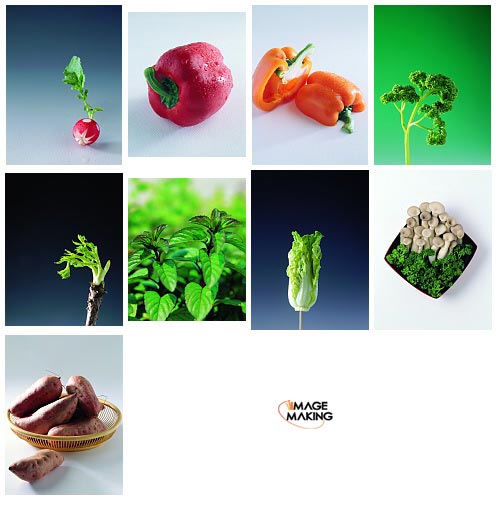 Image Making: Beautiful Cook 003 - Vegetable 1