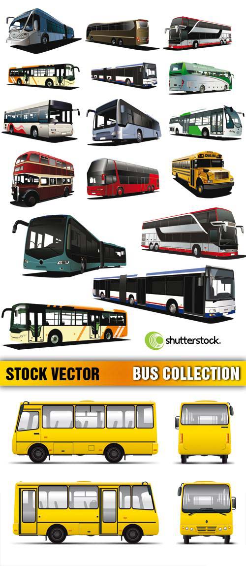 Bus Vectors Collection 3xEPS - Shutterstock