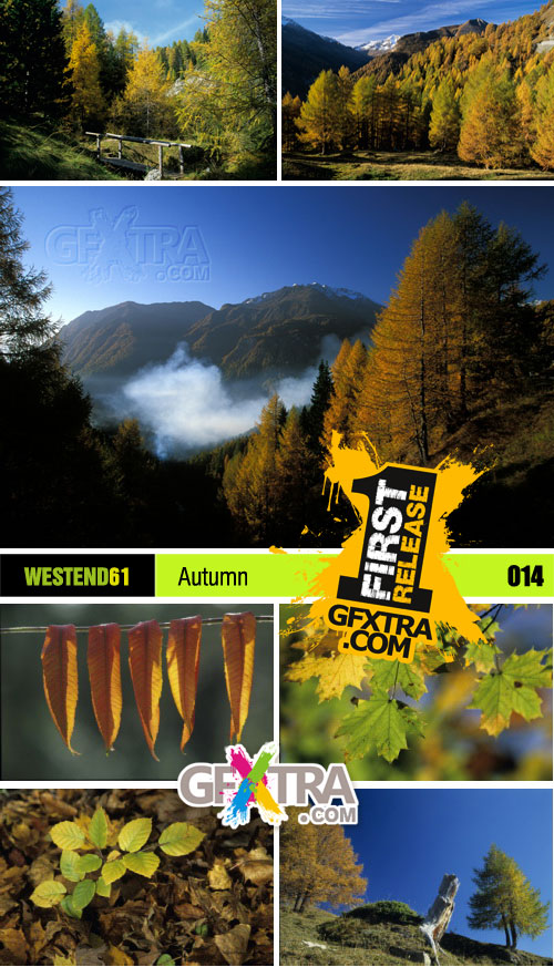 WestEnd61 Vol.014 Autumn
