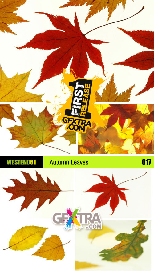 WestEnd61 Vol.017 Autumn Leaves