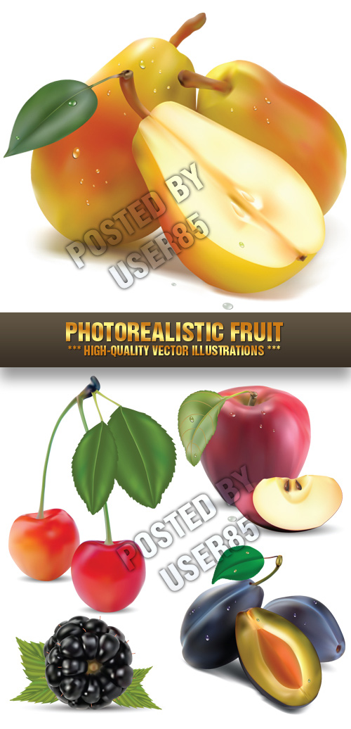 Stock Vector - Photorealistic Fruit