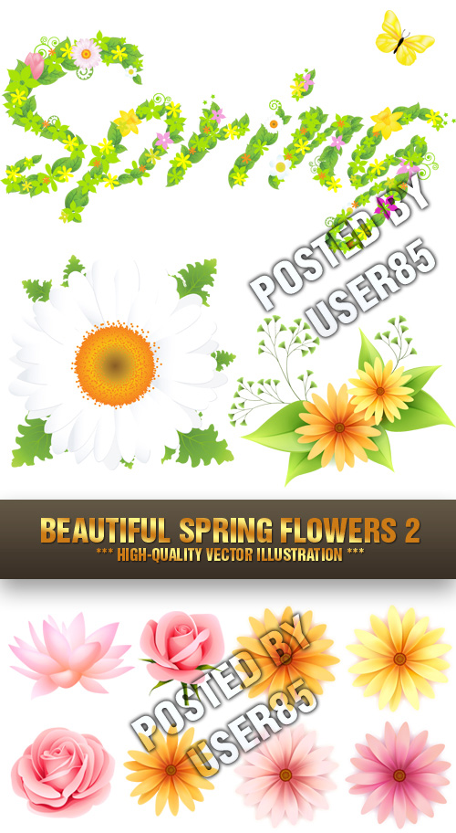 Stock Vector - Beautiful Spring Flowers 2
