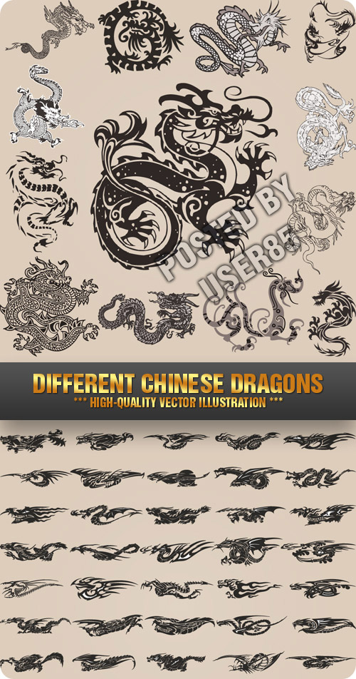 Stock Vector - Different Chinese Dragons