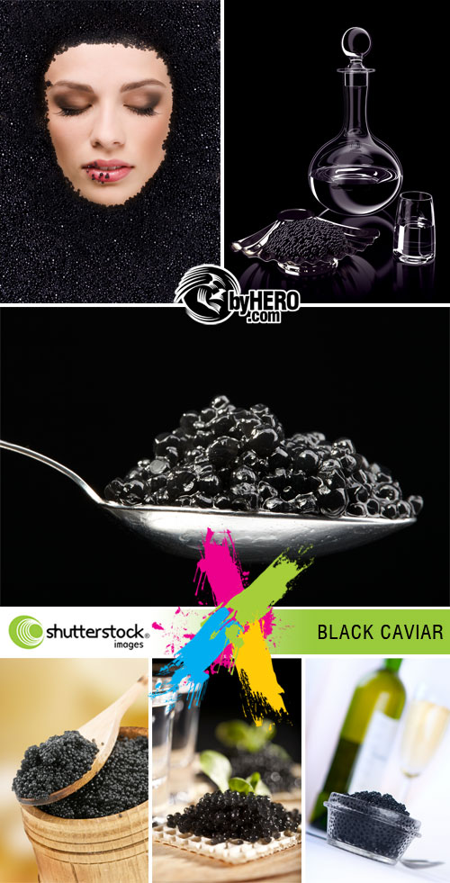 Black Caviar 6xJPGs Stock Image