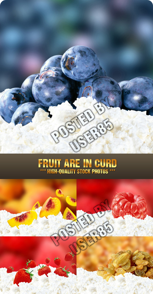 Stock Photo - Fruit are in Curd