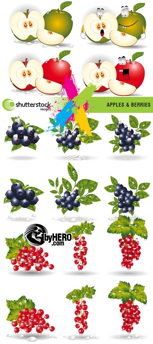 Apples and Berries 3xEPS vector Image SS