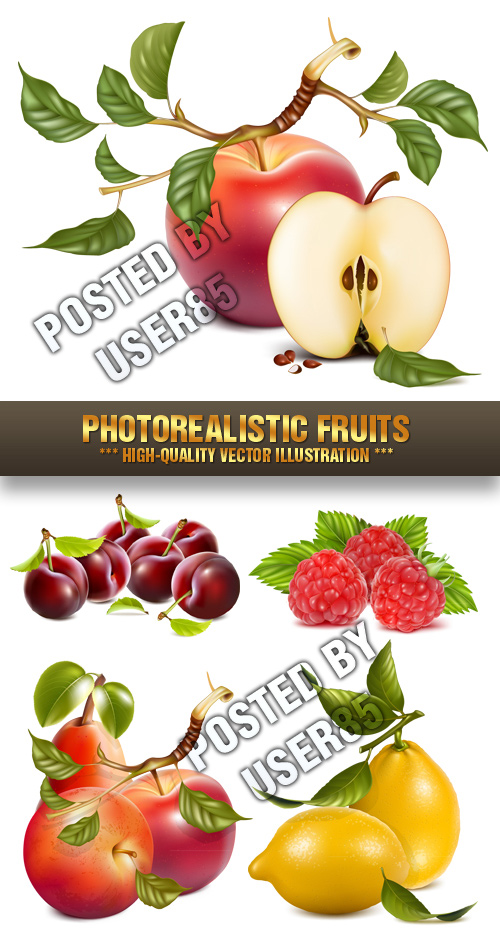 Stock Vector - Photorealistic Fruits