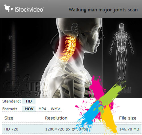 iStockVideo - Walking Man Major Joints Scan HD720 *.mov