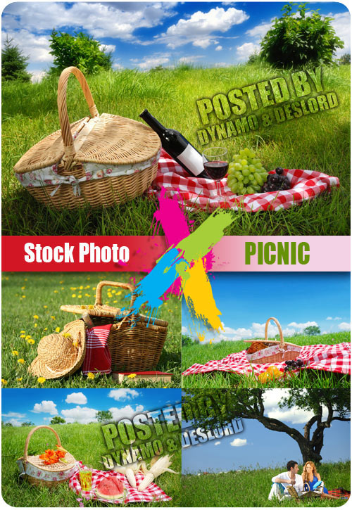 Picnic - UHQ Stock Photo