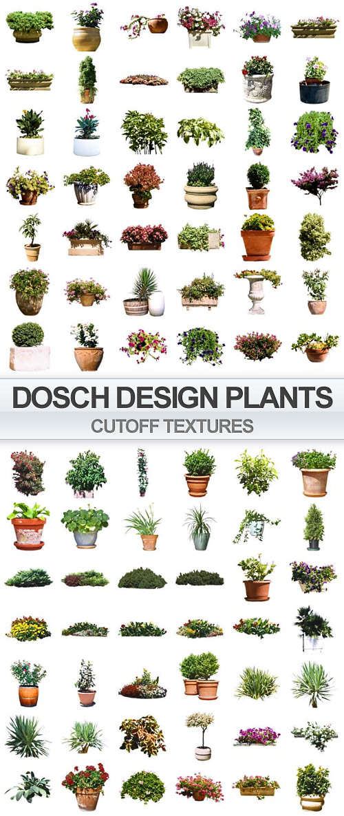 Dosch Design Viz Images - Plants on transparent background