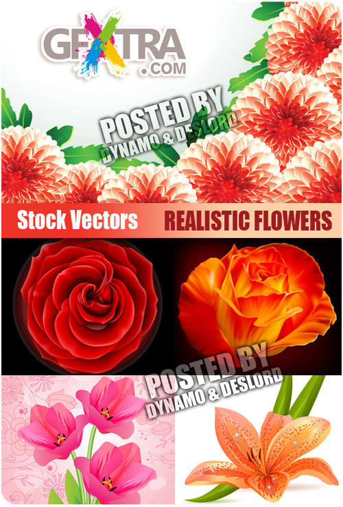 Realistic Flowers - Stock Vectors