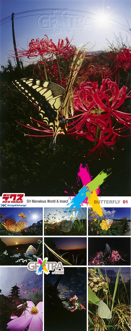 DEX Images 01: Butterfly - SH Marvelous World & Insect