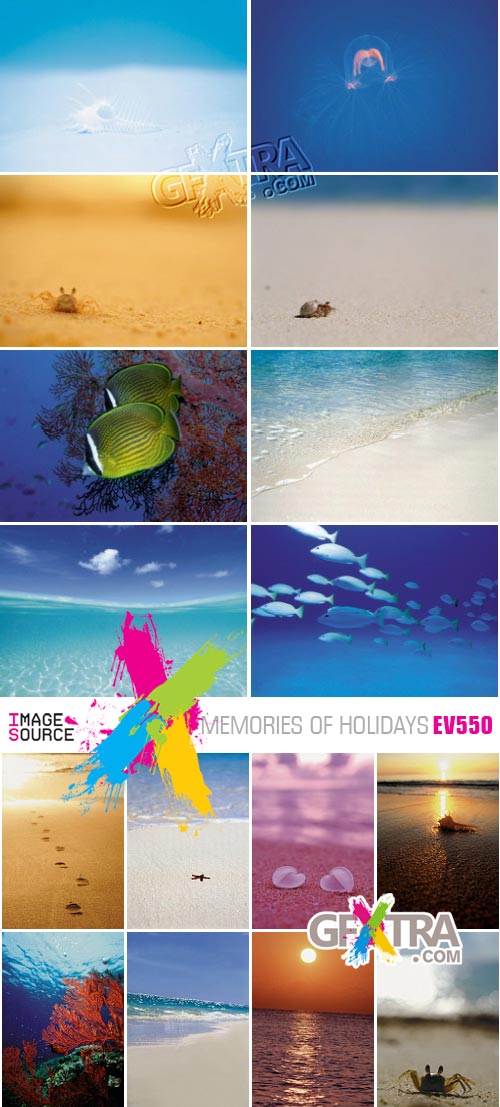 Image Source EV550 Memories of Holidays