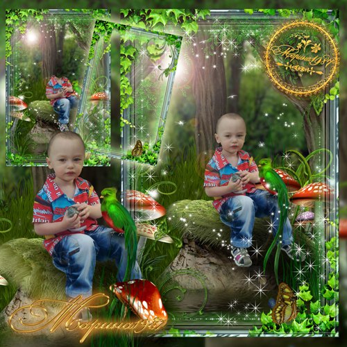 Child template for Photoshop - Fairy Forest