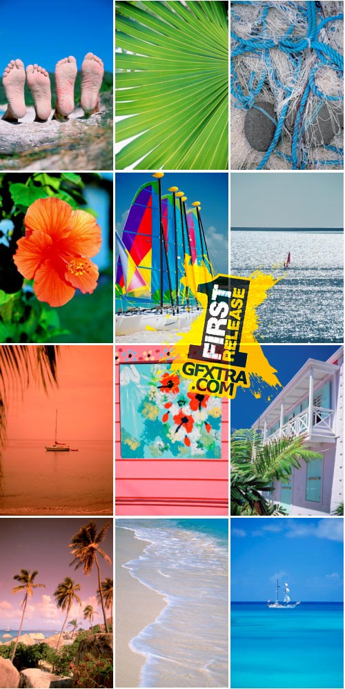 Medio Images WT34 Discover Caribbean Colors
