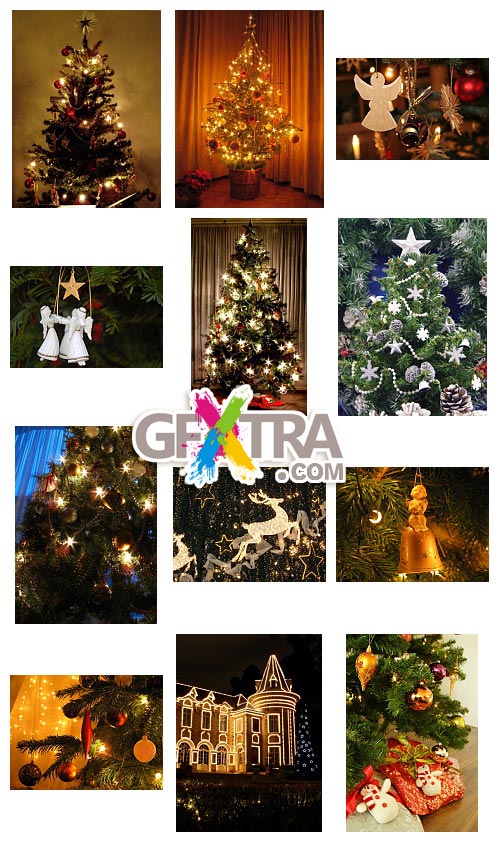 Christmas Trees & Interiors, 50xJPGs