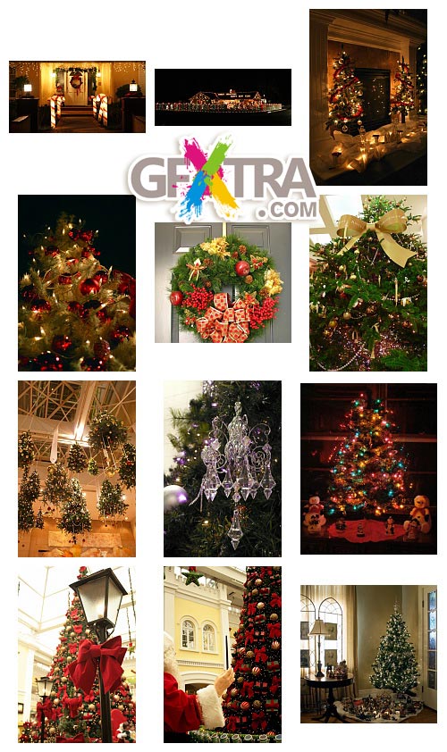 Christmas Trees & Interiors, 50xJPGs