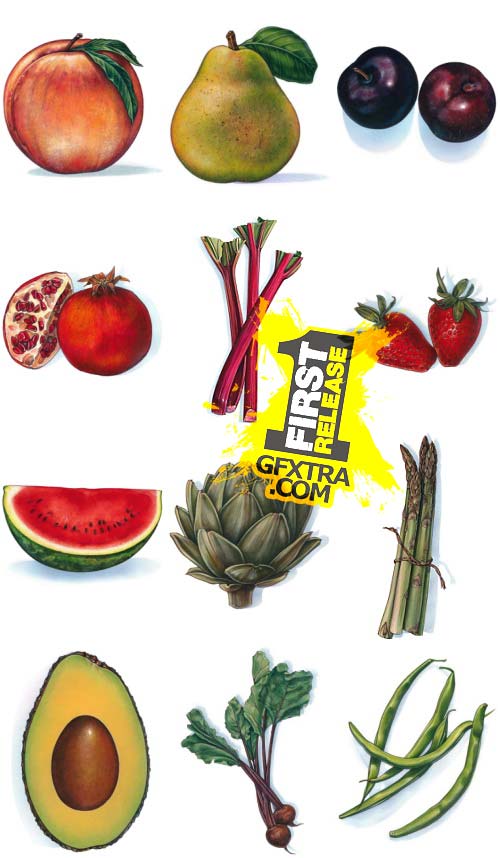 Artville Illustrations IL063 Big Fruits & Vegetables