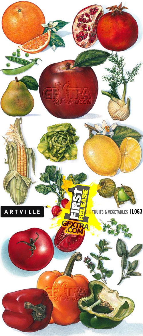 Artville Illustrations IL063 Big Fruits & Vegetables