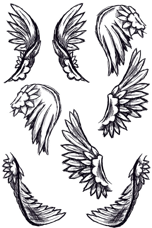 Feather wing brushes set