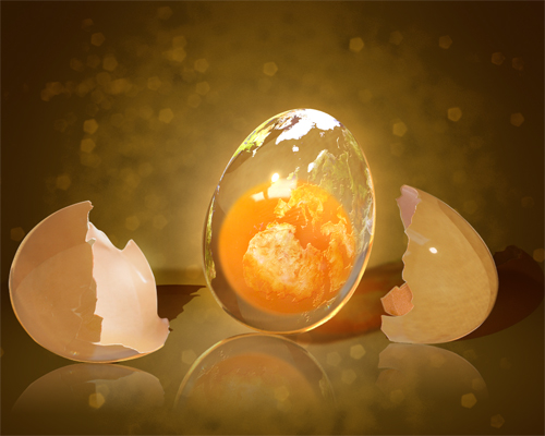 PSD Sources - Crystal Egg - New Creative Design