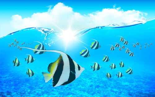 Creative Nature PSD Source - Underwater Angelfishes