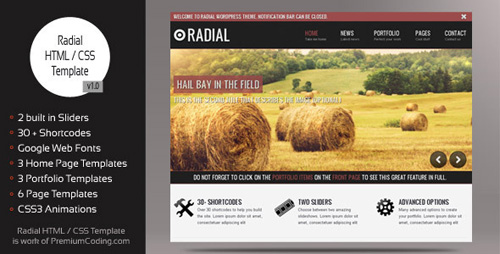 ThemeForest - Radial - Blog HTML / CSS Website Template - Rip