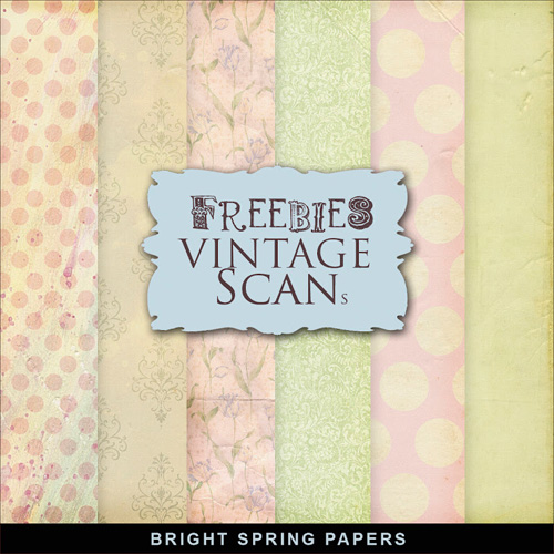Textures - Old Vintage Backgrounds - Colored Color Style With Flower Pattern 6