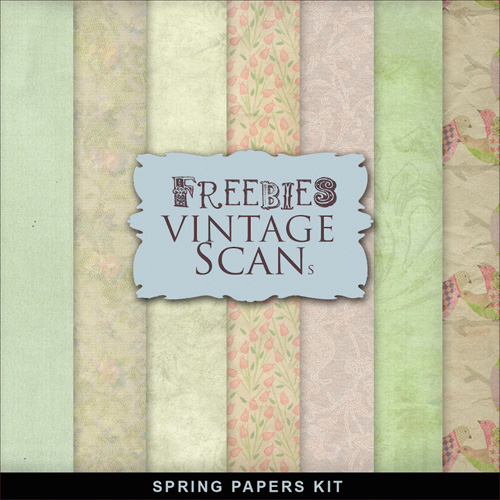 Textures - Old Vintage Backgrounds - Colored Color Style With Flower Pattern 3