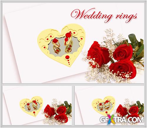 Footage HD - Romantic Backgrounds Wedding Rings - Creative Video Footage For Wedding With Red Roses