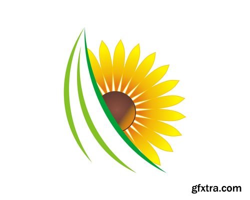 Vector - Sunflower
