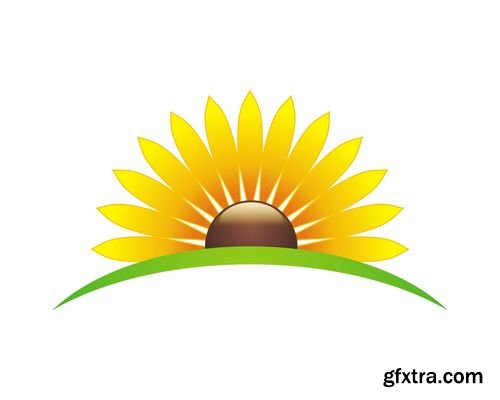 Vector - Sunflower