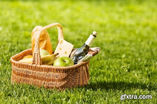 Collection picnic basket picnic wine grapes plaid bedding Still Life 25 HQ Jpeg