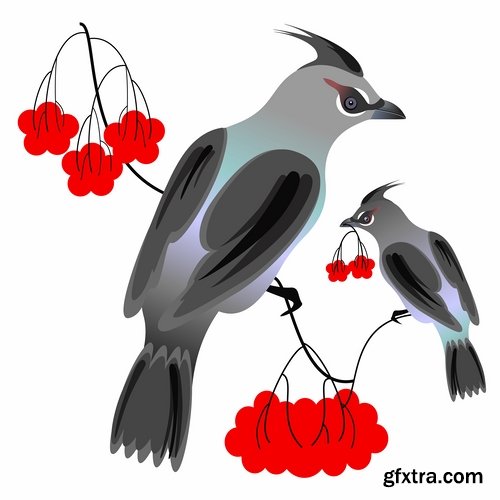 Collection picture vector bird on a branch silhouette cartoon bird heraldry 25 Eps