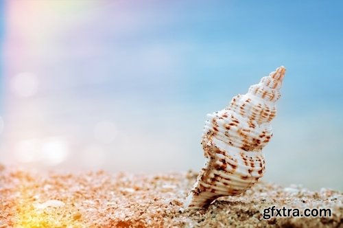 Collection tourist scenery sea beach vacation shell summer vacation 25 HQ Jpeg