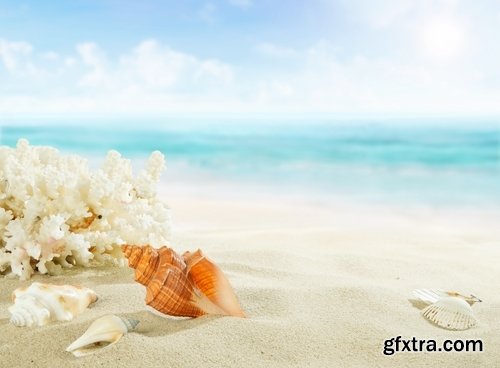 Collection tourist scenery sea beach vacation shell summer vacation 25 HQ Jpeg