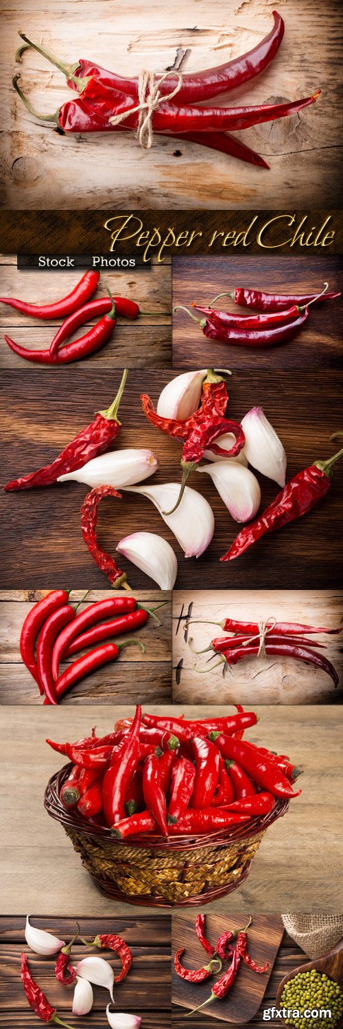 Chili Pepper on Wooden Background 10xJPG
