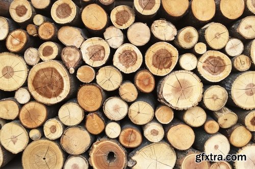 Collection of old tree stump nature landscape cut saw cut 25 HQ Jpeg