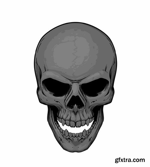 Skull illustration - 11 EPS