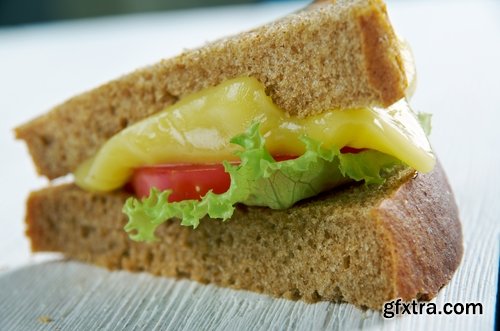Collection toast grilled sandwich bread sandwich burger 25 HQ Jpeg